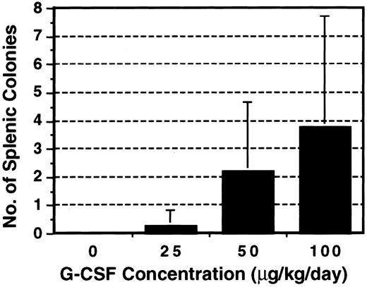 Fig. 1. Effect of G-CSF on the emergence of endogenous splenic colonies. B6D2F1 mice were treated with various concentrations of G-CSF for 14 days with a miniosmotic pump and then irradiated. No BM cells were grafted and the spleen was examined for the presence of colonies on day 8. The results represent the mean ± SD of three experiments.