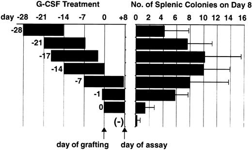 Fig. 3. G-CSF administration protocol and the appearance of splenic colonies. B6 BM cells were transplanted into B6D2F1 mice, following various G-CSF administration protocols, starting at various points from day −27 to day 0 as depicted. (−) represents BM grafting without G-CSF treatment. The day of BM grafting is counted as day 0 and the splenic colonies were counted on day 8, as indicated by arrows. Colony data represent the mean ± SD of three experiments.