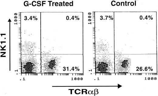 Fig. 4. Presence of NK1.1 cells in spleen of mouse treated with G-CSF. A B6D2F1 mouse was treated with G-CSF at 25 μg/kg/d for 14 days with a miniosmotic pump and splenocytes were stained with FITC-labeled anti-TCRαβ antibody (X-axis) and PE-labeled anti-NK1.1 antibody (Y-axis). Note the presence of comparable numbers of NK1.1+ cells in G-CSF–treated and untreated mice (Control).