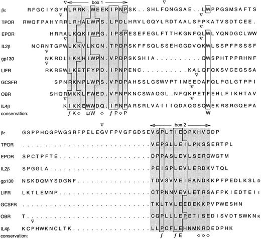 Fig. 2. Sequences of the immediate cytoplasmic regions of various human receptor signaling subunits. The positions of intron/exon boundaries are indicated by (▿). In some cases, these have been inferred from the mouse genes. Conserved residues are boxed with a consensus indicated below; aliphatic (f ), hydrophobic (Ω), hydrophilic (⋄), or the conserved residue.