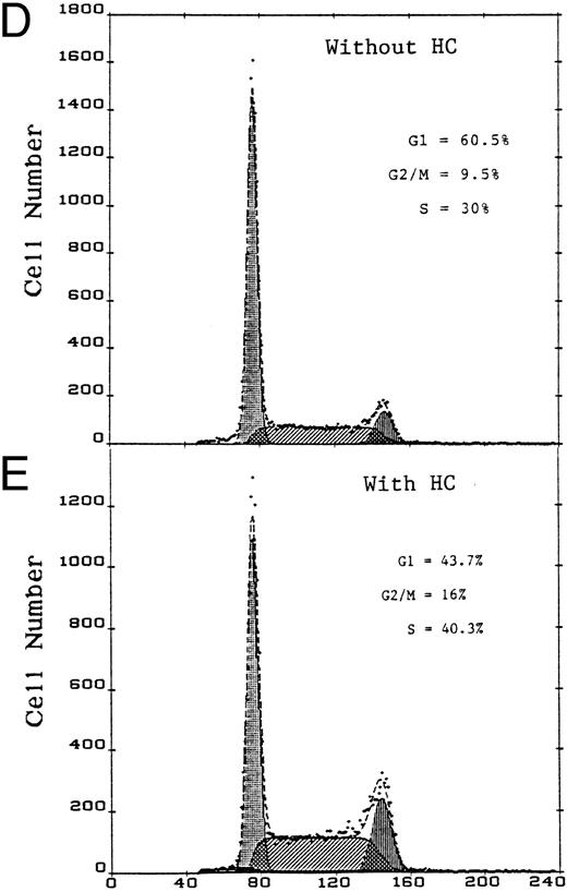 Fig. 2. Effect of GC on the growth of (A) KS cells, (B) HUVEC, and (C) AOSM and KS cell cycle (D and E). KS cells (KSC-2), HUVEC, and aortic smooth muscle cells (AOSM) were each assayed by plating the cells in 24-well plates and treating with hydrocortisone (HC) on days 1 and 3, and the cells were counted on day 6. The assays were done in triplicate; results are shown as mean ± SE. KS cell cycle analysis (D and E): Serum-starved KS cells were cultured in T-75 flasks without (D) or with (E) HC (10−6 mol/L) for 24 hours. Cells were harvested, DNA stained with propidium iodide, and cell-cycle was analyzed by flow cytometry. The results were expressed as DNA content in the different phases of the cell cycle. Channels 68-86 represent cells in G1 phase, channels 86-138 represent cells in S phase, and channels 138-160 represent cells in G2 + M phase.