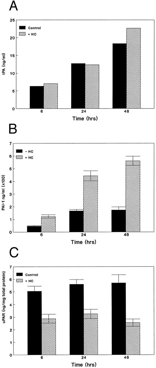Fig. 8. Effect of GC on the levels of (A) tPA, (B) PAI, and (C) uPAR. Equal number of KS cells were seeded in 75-cm2 flasks and treated with HC (10−6 mol/L). The supernatants were collected at different time points and tPA and PAI-1 levels were measured by ELISA. For the uPAR assay, protein extracts were quantitated by the Bradford method and the levels of uPAR were measured by ELISA and normalized for the total protein in each sample. The results represent the mean ± SE of triplicate experiments.