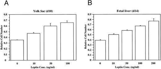 Fig. 2. Leptin stimulates the proliferation of yolk sac (YS) and fetal liver (FL) cells. The dose-dependent effects of leptin on the proliferation of freshly isolated cells from (A) d10 murine yolk sac cells, and (B) d14 murine fetal liver cells was evaluated. These data are typical of many experiments.