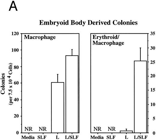 Fig. 3. Leptin stimulates erythroid and myeloid colonies. Hematopoietic cells from (A) ES-derived embryoid bodies (d6), (B) murine d13 fetal liver, (C) adult bone marrow from normal and db mutant mice, (D) adult murine bone marrow, or (E) adult human bone marrow are cultured in methylcellulose colony assays containing leptin (L) and/or steel factor (SLF ). For adult marrow assays all groups contained saturating levels of rhEPO (2 U/mL). Sex- and age-matched marrow from normal and C57BL/6J db/db mice were used for the experiments in (C). Each graph is representative of data from three experiments. NR, no response.