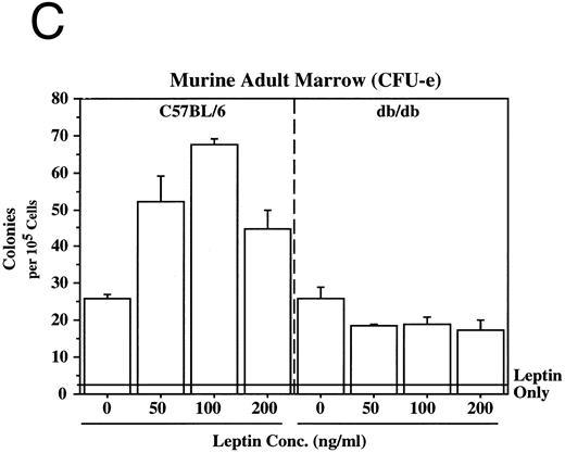 Fig. 3. Leptin stimulates erythroid and myeloid colonies. Hematopoietic cells from (A) ES-derived embryoid bodies (d6), (B) murine d13 fetal liver, (C) adult bone marrow from normal and db mutant mice, (D) adult murine bone marrow, or (E) adult human bone marrow are cultured in methylcellulose colony assays containing leptin (L) and/or steel factor (SLF ). For adult marrow assays all groups contained saturating levels of rhEPO (2 U/mL). Sex- and age-matched marrow from normal and C57BL/6J db/db mice were used for the experiments in (C). Each graph is representative of data from three experiments. NR, no response.