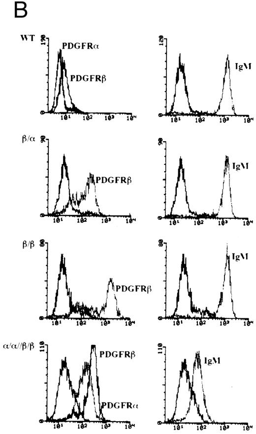 Fig. 1. Construction of chimeric cDNAs and expression in WEHI-231. (A) Diagram of chimeric cDNAs. Extracellular and transmembrane (TM) domains encoding cDNA fragments derived from the hPDGFRs were ligated to cDNA fragments encoding the cytoplasmic domains of murine Igα/β. (B) Surface expression of chimeric proteins and IgM on transfectants. To further characterize, the above cDNAs were also expressed in the B-cell lymphoma A20. Proteins corresponding to the predicted size of the chimeric molecules were immunoprecipitated by monoclonal antibodies to the PDGFR (Genzyme) and immunoblotted with specific antibodies against Igα or Igβ.31