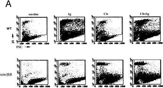 Fig. 2. Both cytoplasmic domains of Igα and Igβ are necessary to induce cell death. (A) Flow cytometric analysis of cell death induced in wild-type WEHI-231 (WT) and an α/α//β/β transfected clone. Shown are dot plots of forward scatter (FSC) versus propidium iodide (PI) staining for a typical experiment. (B) Analysis of cell death in all transfectants. The mean and standard deviation derived from three experiments is shown. For each experiment, the percent change in cells stained with PI upon stimulation was determined by subtracting the percentage of PIhigh (as gated in A) cells in unstimulated populations cells from that in the corresponding stimulated populations. This number was then expressed as a percentage of the cell death obtained from stimulating the wt BCR (% maximum). “Ig” refers to BCR and “Ch” refers to the chmeras. *Indicates values that were significantly different (P < .01, two-sided t-test) from those obtained from wild-type cells.
