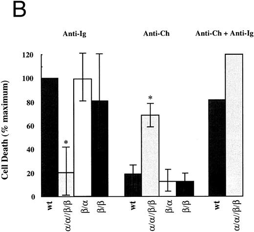 Fig. 2. Both cytoplasmic domains of Igα and Igβ are necessary to induce cell death. (A) Flow cytometric analysis of cell death induced in wild-type WEHI-231 (WT) and an α/α//β/β transfected clone. Shown are dot plots of forward scatter (FSC) versus propidium iodide (PI) staining for a typical experiment. (B) Analysis of cell death in all transfectants. The mean and standard deviation derived from three experiments is shown. For each experiment, the percent change in cells stained with PI upon stimulation was determined by subtracting the percentage of PIhigh (as gated in A) cells in unstimulated populations cells from that in the corresponding stimulated populations. This number was then expressed as a percentage of the cell death obtained from stimulating the wt BCR (% maximum). “Ig” refers to BCR and “Ch” refers to the chmeras. *Indicates values that were significantly different (P < .01, two-sided t-test) from those obtained from wild-type cells.