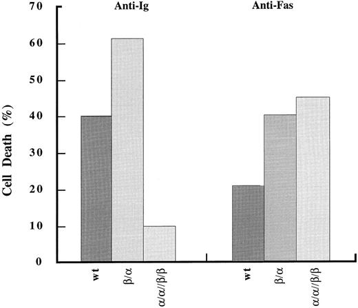 Fig. 4. Fas-mediated apoptosis is comparable between wild-type and chimera-expressing cells. Analysis of cell death induced upon stimulation through Fas antigen was done as in Fig 2.