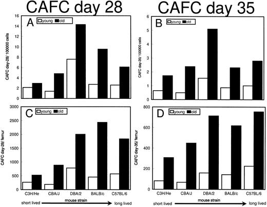 Fig. 3. Frequencies of CAFC day 28 and 35 in young and old C3H/He, CBA/J, DBA/2, BALB/c, and C57BL/6 mice. (A and B) The mean CAFC frequencies per 105 marrow cells; (C and D) mean numbers of CAFC per femur. For the number of mice per group refer to the legend of Fig 2. Strains are plotted in order of increasing maximal lifespan (indicated below X-axis).