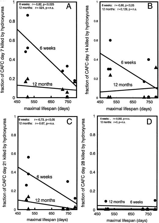 Fig. 4. Cycling activity of CAFC subsets in old and young mice. Shown is the fraction of CAFC day 7 (A), 14 (B), 21 (C), and 28 (D), obtained from young (•) or old (▴) mice, that were killed by incubation, in vitro, with hydroxyurea (HU). The regression line, using individual data points obtained in young and old mice, shows the relationship with the maximal lifespan of the respective strains. Lifespans for C3H/He is 500 days, for CBA/J 512 days, for DBA/2 710 days, for BALB/c 745 days, and for C57BL/6 789 days. The correlation coefficient “r” of these lines is given in each figure, in addition to the level of significance (p). CAFC day 35 were not affected by HU (data are not shown).