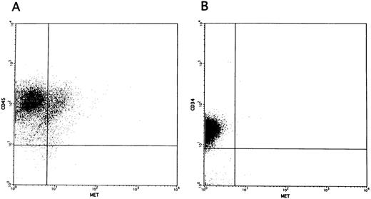 Fig. 5. c-MET expression on the cell surface of unfractionated BM mononuclear cells (A) and purified CD34+ cells (B).