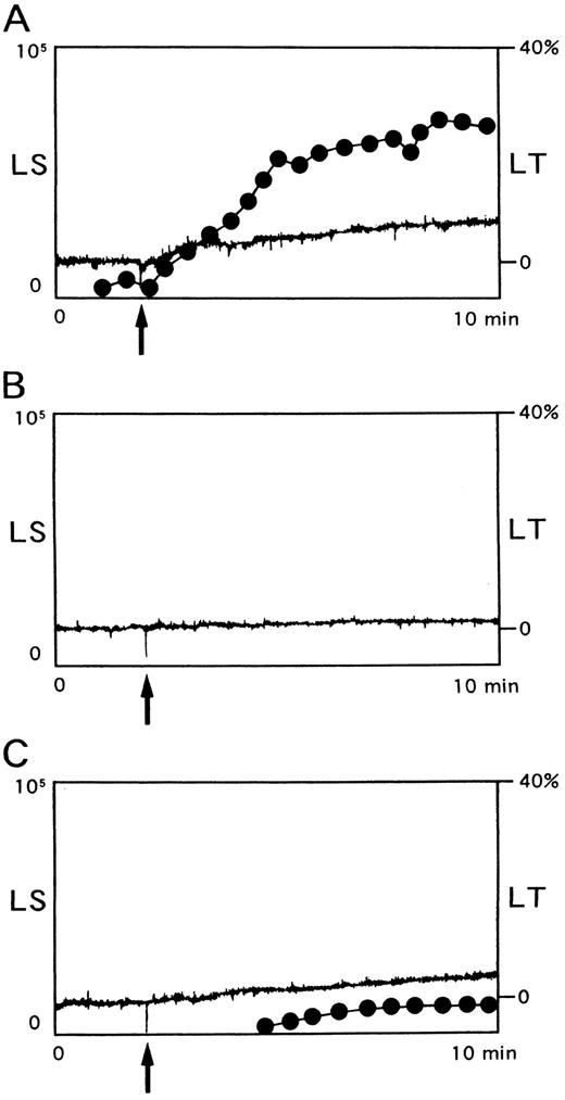 Fig. 2. Platelet aggregation induced by NNKY5-5 as assessed by aggregometry using light scatter. Platelet aggregation was measured using PRP anticoagulated with citrate (A and B) or 50 U/mL hirudin (C). (A) NNKY5-5 (10 μg/mL) was added to PRP (arrow) and the changes in light transmission (LT, solid line) and light scatter (LS, broken line) were monitored simultaneously. (B) GRGDS (400 μmol/L) was added 10 minutes before the addition of 10 μg/mL NNKY5-5 (arrow). (C) Hirudin was used to maintain a physiological concentration of Ca2+ and NNKY5-5 (10 μg/mL) was added at the time indicated by the arrow. Light scatter intensity of 0.2 to 2V, which represents platelet aggregates of small size, is shown in arbitary units. The data are representative of at least four experiments.