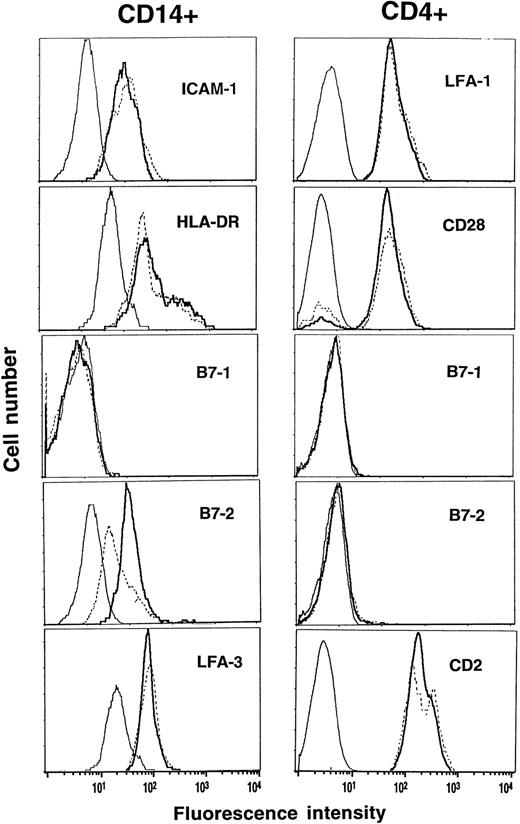 Fig. 6. Phenotypic analysis of preG- and G-CD4 and CD14 cells. PreG-PBMC (solid lines) and G-PBMC (dashed lines) from the same donor were stained with anti-CD4-PE or anti-CD14-PE plus FITC-conjugated antibodies against the indicated costimulatory molecules or HLA-DR. Samples were analyzed by gating on the CD4- or CD14-positive population, and fluorescence intensities were compared between preG- and G-CD4 and CD14 cells relative to isotype-matched control antibodies (thin lines). Results from one of three representative experiments are shown.