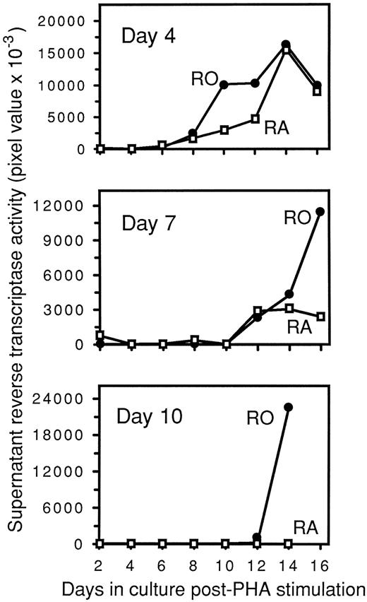 Fig. 5. Delayed PHA induction of HIV-1–infected CD45RA+/CD4+ and CD45RO+/CD4+ cultures. Infected cultures were maintained in RPMI 1640, 10% human AB serum, and 50% LS. On days 4, 7, and 10 postinfection, aliquots of 106 cells from each culture were removed and PHA-stimulated. After PHA stimulation, supernatants were collected every 2 days to determine RT activity, which is expressed as pixel values from PhosphorImager analysis.