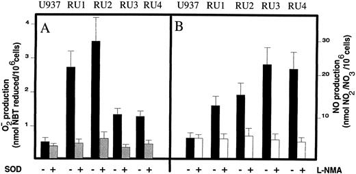 Fig. 6. Analysis of the activation steady-state of U937 and RU clones. (A) O−2⋅ production was quantitated by measuring the reduction of NBT, after incubation of the cultures (5 × 105 cells/mL) for 5 hours in RPMI supplemented with 10% FCS in the presence () or absence (▪) of 500 IU/mL of human SOD. (B) NO production was determined by quantitating NO−2/NO−3 in supernatants of cultures (2 × 105 cells/mL) incubated for 36 hours in complete medium in the presence (□) or absence (▪) of 0.5 mmol/L L-NMA. Average values from triplicates cultures are shown with standard derivatives bars.