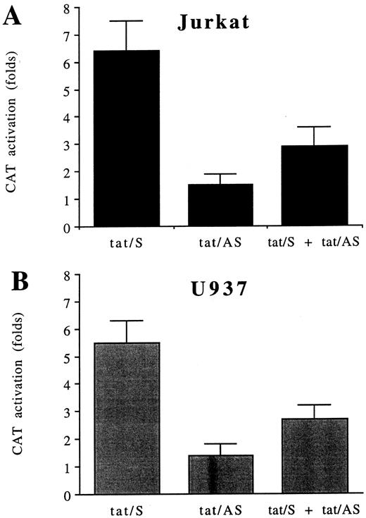 Fig. 2. Selective blocking of the effect of Tat on the c-fos promoter activity. (A) Jurkat and (B) U937 cells were transiently cotransfected with tat/S, tat/AS and FC3. Controls are represented by cells cotransfected with FC3 together with tat/S or tat/AS. CAT activity is expressed as folds of activation with respect to cell lines transfected with FC3 alone. Data are reported as means ± SDs of three independent transfection experiments performed in duplicate.