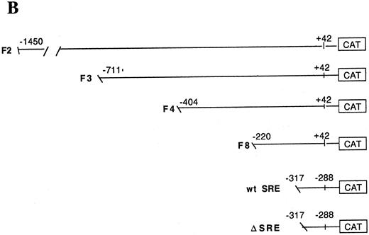 Fig. 4. Identification of the c-fos promoter region required for Tat transactivation. (A) Schematic map of the c-fos promoter structure. (B) The 5′ endpoints of the deletion mutants are indicated. (C) Jurkat cells were cotransfected with the indicated c-fos promoter/CAT constructs plus tat/S or tat/AS. CAT activity is expressed as folds of activation with respect to cell lines transfected with FC3 alone. Data are reported as means ± SDs of four independent transfection experiments performed in duplicate.