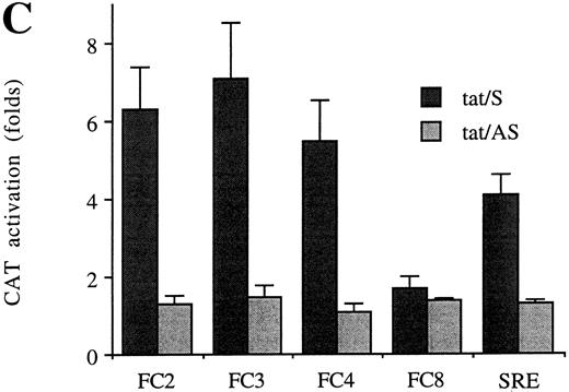 Fig. 4. Identification of the c-fos promoter region required for Tat transactivation. (A) Schematic map of the c-fos promoter structure. (B) The 5′ endpoints of the deletion mutants are indicated. (C) Jurkat cells were cotransfected with the indicated c-fos promoter/CAT constructs plus tat/S or tat/AS. CAT activity is expressed as folds of activation with respect to cell lines transfected with FC3 alone. Data are reported as means ± SDs of four independent transfection experiments performed in duplicate.