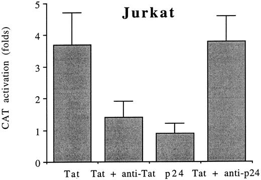Fig. 5. Upregulation of the c-fos promoter activity by extracellular Tat. Twenty-four hour serum–starved (1% FCS) Jurkat cells were transfected with FC3 then cultured with recombinant Tat or recombinant p24. Alternatively cells were incubated with recombinant Tat pretreated with a MoAb to Tat or p24. CAT activity is expressed as folds of activation with respect to cell lines transfected with FC3 alone. Data are reported as means ± SDs of three independent transfection experiments performed in duplicate.