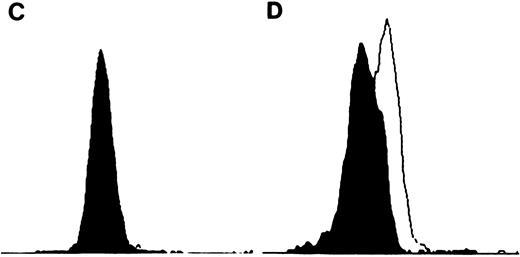 Fig. 3. TIMP-1 and TIMP-2 protein expression. (A) Molt-4 cytocentrifuge preparations stained with rabbit polyclonal anti-TIMP–1 followed by FITC-conjugated goat antirabbit antibodies. Excitation wavelength 490 nm. Original magnification × 630. Small intensely fluorescent structures are debris (too small for cells and no nuclear content on light microscopy). (B) K562 cytocentrifuge preparations stained with rabbit polyclonal anti-TIMP–1 followed by FITC-conjugated goat antirabbit antibodies. Excitation wavelenght 490 nm. Original magnification × 630. (C) Flow cytometric analysis of TIMP-2 expression in K562 cells. Cell number represented on Y-axis and fluorescence intensity on X-axis. Filled in histogram staining with nonimmunized rabbit serum (negative control), clear histogram staining with TIMP-2. Histograms overlap. (D) Flow cytometric analysis of TIMP-2 expression in Jurkat cells. Cell number represented on Y-axis and fluorescence intensity on X-axis. Filled in histogram staining with nonimmunized rabbit serum (negative control), clear histogram staining with TIMP-2.
