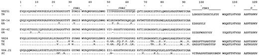 Fig. 3. Deduced amino acid sequences of the rearranged Ig VH -D-JH -C genes from five cases of IgA and/or IgG isotype CLLs. Single-letter amino acid code is used. Identity is indicated by a dot and differences are shown. Solid lines above each cluster depict the CDR and C gene sequences. Identity is indicated by a dot and differences are shown.