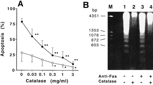 Fig. 3. Catalase inhibited the CD95-induced and spontaneous apoptosis of normal neutrophils. (A) Neutrophils from normal donors were cultured with increasing concentrations of catalase in the presence (•) or absence (○) of 100 ng/mL anti-Fas MoAb for 12 hours and apoptosis of aged neutrophils was then estimated by flow cytometry as described in Materials and Methods. Data are expressed as mean ± SD from 4 different experiments. *P < .05, **P < 0.01 versus neutrophils cultured without addition of catalase. (B) DNA samples extracted from neutrophils cultured for 9 hours with medium alone (lane 1), 1 mg/mL of catalase (lane 2), 100 ng/mL of anti-Fas MoAb (lane 3), or catalase plus anti-Fas MoAb (lane 4) were electrophoresed through 1.7 % of agarose gel as described in Materials and Methods.