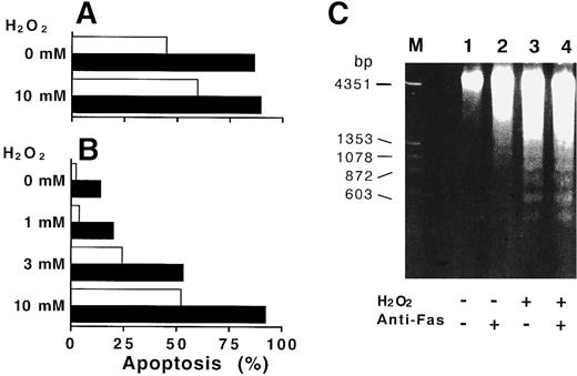 Fig. 4. H2O2 -accelerated apoptosis of CGD neutrophils. Neutrophils from normal donors (A) and CGD patients (B) were cultured with various concentrations of H2O2 in the presence (▪) or absence (□) of 100 ng/mL anti-CD95 MoAb. After 15 hours in culture, apoptosis of senescent neutrophils was estimated by flow cytometry described in Materials and Methods. (A) and (B) are representative of three independent experiments. (C) Appearance of fragmented DNA in CGD neutrophils incubated with H2O2 . The nuclear DNA samples extracted from CGD neutrophils cultured for 9 hours with medium alone (lane 1), 100 ng/mL of anti-Fas MoAb (lane 2), 1 mmol/L H2O2 (lane 3), or H2O2 plus anti-Fas MoAb (lane 4) were electrophoresed through 1.7 % of agarose gel as described in Materials and Methods.