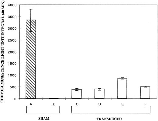 Fig. 3. Chemiluminescence assay for superoxide production by PMA activated neutrophils derived from sham treated and transduced CD34+ cells at 17 days of culture. The vertical axis represents the average light unit integral over 40 minutes as a measure of superoxide production. Bar A is the average of six cultures of sham treated normal CD34+ cells. Bars B through F represent the average value of four experiments each with p67phox deficient CGD CD34+ cell cultures for each bar seen. Bar B is sham treated patient cells; bars C through F are patient cells transduced with MFGS-p67phox derived from clones 2, 5, 20, 37, respectively. Error bars represent standard error of the mean.