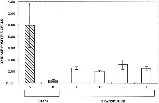 Fig. 5. Results from DHR FACS oxidase analysis of 17-day cultures of differentiating CD34+ cells. Analyses were performed as in Fig 4. The bars represent the percent of cells in the region defined by mature high-oxidase positive granulocytes (those to the right of the line set in Fig 4). Bar A is the average of analysis of seven normals. Bars B through F represent the average value of four experiments for each bar seen. Bar B is sham treated patient cells, bars C through F are patient cells transduced with MFGS-p67phox derived from clones 2, 5, 20, 37, respectively. Error bars represent standard error of the mean.