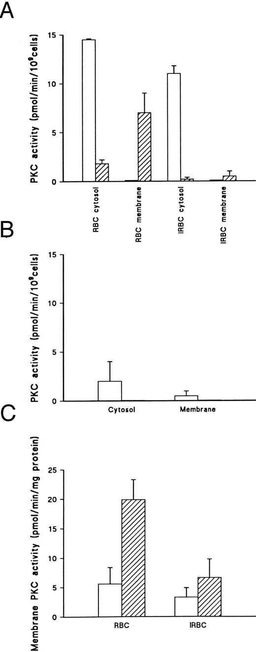 Fig. 2. PKC activity in uninfected and P falciparum–infected erythrocytes. (A) PKC activity determined in cytosol and membrane fractions from uninfected erythrocytes (RBC) and enriched infected erythrocytes (IRBC) (60% parasitemia) incubated with DMSO (□) or 500 nmol/L PMA (▨) for 15 minutes. PKC activity given is the total kinase activity minus activity measured in the absence of lipid activators (PMA/Phosphatidyl-serine/Triton-X–100 mixed micelles) and the presence of 20 μmol/L PKC.19-36 Activities represent the mean of duplicate assays + range. This result is representative of six separate experiments. (B) Kinase activity in isolated parasites. IRBC (2.5 × 107) were incubated with DMSO (□) or 500 nmol/L PMA (▨) for 15 minutes at 37°C. Parasites were prepared by saponin lysis, then fractionated as described.28 PKC activity was determined as described above. Values represent the mean of duplicate assays + range. This result is representative of three separate experiments. (C) Membrane PKC activity in RBC and IRBC (60% parasitemia) incubated with DMSO (□) or 500 nmol/L PMA (▨) for 15 minutes. PKC activity was determined as described above. Values represent the mean of triplicate assays + standard error of mean (SEM). This result is representative of six separate experiments.