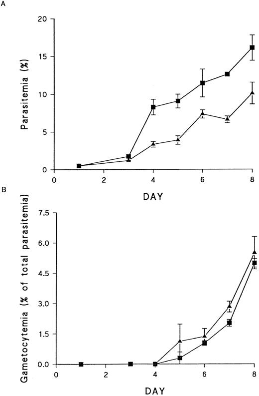 Fig. 6. Effect of PKC downregulation on asexual and sexual stage parasite growth. (A) Asexual stage growth in normal (▪) and PKC-deficient (▴) RBCs. Each point represents the mean of triplicate counts ± SEM. This result is representative of four separate experiments. (B) Gametocyte production in normal (▪) and PKC-deficient (▴) cells. Gametocytemia is presented as a percentage of the total parasitemia, to allow for the effects of PKC downregulation on asexual stage growth. Each point represents the mean of triplicate counts ± SEM. This result is representative of four separate experiments.