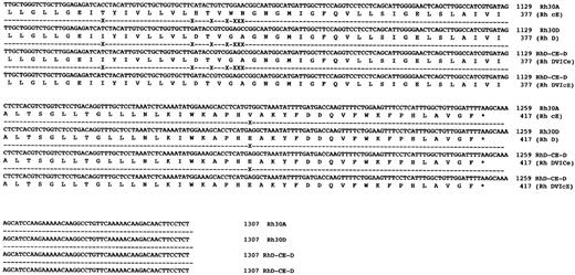 Fig. 4. DNA sequences of full-length hybrid RHD-RHCE-RHD clones isolated from DVICe and DVIcE haplotype individuals. Nucleotide sequences and inferred protein sequences are illustrated for two hybrid RHD-RHCE-RHD clones isolated by RT-PCR using total RNA derived from peripheral blood reticulocytes from two individuals expressing the DVICe and DVIcE haplotypes. Sequences are compared with RH30A and RH30D, which encode the Rh cE and D polypeptides, respectively. Differences in the Rh30D and hybrid cDNAs are denoted by (X), while sequence identity is shown by a (-).