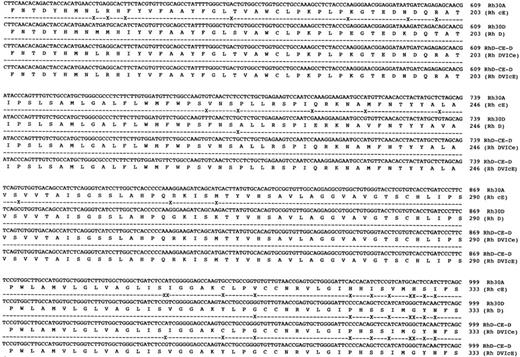 Fig. 4. DNA sequences of full-length hybrid RHD-RHCE-RHD clones isolated from DVICe and DVIcE haplotype individuals. Nucleotide sequences and inferred protein sequences are illustrated for two hybrid RHD-RHCE-RHD clones isolated by RT-PCR using total RNA derived from peripheral blood reticulocytes from two individuals expressing the DVICe and DVIcE haplotypes. Sequences are compared with RH30A and RH30D, which encode the Rh cE and D polypeptides, respectively. Differences in the Rh30D and hybrid cDNAs are denoted by (X), while sequence identity is shown by a (-).