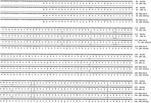 Fig. 4. DNA sequences of full-length hybrid RHD-RHCE-RHD clones isolated from DVICe and DVIcE haplotype individuals. Nucleotide sequences and inferred protein sequences are illustrated for two hybrid RHD-RHCE-RHD clones isolated by RT-PCR using total RNA derived from peripheral blood reticulocytes from two individuals expressing the DVICe and DVIcE haplotypes. Sequences are compared with RH30A and RH30D, which encode the Rh cE and D polypeptides, respectively. Differences in the Rh30D and hybrid cDNAs are denoted by (X), while sequence identity is shown by a (-).