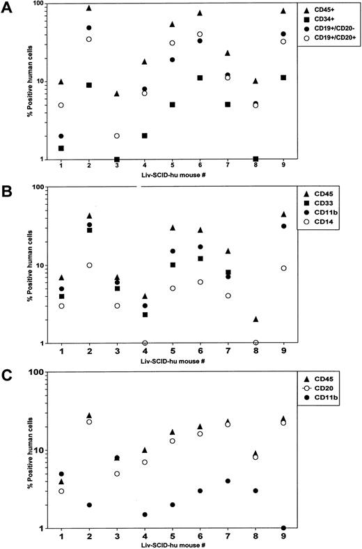 Fig. 1. Analysis of SCID mice transplanted with HFL. Four months after transplantation of irradiated SCID mice (n = 9 mice) with HFL cells: (A) mononuclear cells isolated from the BM and cells in the lymphoid gate were analyzed by flow cytometry for the expression of human CD45, CD34, CD19, and CD20. (B) Mononuclear cells isolated from the BM and cells in the myeloid gate were analyzed by flow cytometry for the expression of human CD45, CD33, CD11b, and CD14. (C) Mononuclear cells isolated from the PB were analyzed by flow cytometry for the expression of human CD45, CD20, and CD11b.