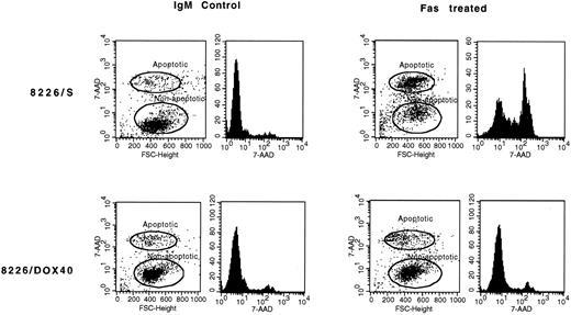 Fig. 1. Apoptosis induced by anti-Fas (CH-11). Cell lines were treated with 200 ng/mL CH-11 for 16 to 18 hours at 37°C, stained with 20 μg/mL 7-AAD, and analyzed by flow cytometry. Apoptotic cells are 7-AADbright, whereas viable cells are 7-AADdim.
