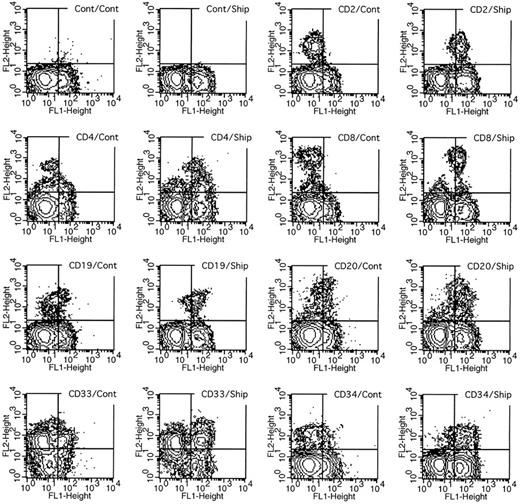 Fig. 5. Two-parameter analysis of SHIP expression in lineage-tagged bone marrow cells. Human bone marrow cells were labeled with rat monoclonal antibodies to the various CD markers shown (or a control rat Ig) and affinity-purified antibodies to the murine SHIP protein (or control rabbit Ig). The upper right-hand corner of each graph indicates the combination of antibodies used for cell labeling, with the first representing the FL2 axis and the second the FL1 axis. Thus, SHIP-positive cells appear to the right and CD-positive cells toward the top of each graph. The doubly labeled cells are detectable in the upper right-hand quadrant.