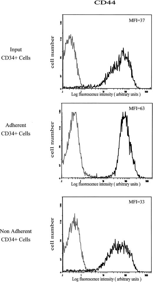 Fig. 2. Cell surface expression of CD44 on input, HA-adherent and HA-nonadherent CD34+ cells. CD34+ cells were stained with FITC-conjugated anti-CD44 MoAb J173. Negative controls (grey lines) are cells labeled with FITC-conjugated IgG1. Flow cytometric analysis was performed as described in the Materials and Methods. Data are from a representative experiment. Four independent experiments gave similar results.