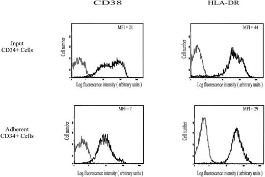 Fig. 4. Cell surface expression of CD38 and HLA-DR II on input and HA-adherent CD34+ HPC. CD34+ HPC were stained with MoAbs to CD38 (PE-conjugated) and to HLA-DR (FITC-conjugated). Negative controls (grey lines) are cells labeled with PE-conjugated IgG1 or FITC-conjugated IgG2a. Flow cytometric analysis was performed as described in the Materials and Methods. Data are from a representative experiment. Four independent experiments gave similar results.