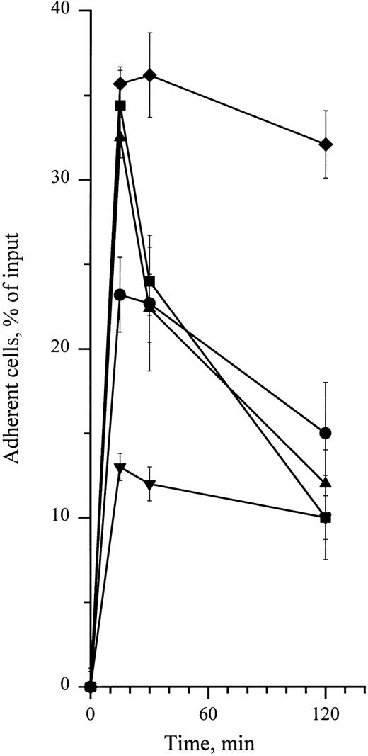 Fig. 6. Time-dependency of cytokine-stimulating effect on CD34+ cell adhesion to HA. Adhesion assays were performed in the presence of 10 ng/mL (•) SCF and (▪) IL-3 and 0.1 ng/mL of (▴) GM-CSF. (♦) Cells preincubated at 4°C for 15 minutes with 5 μg/mL of the anti-CD44 MoAb H90. (▾) Cells treated with the same dose of IgG1 in the same conditions. Cell adhesion was measured at 15 minutes, 30 minutes, and 2 hours. Measures were performed in triplicate as indicated in the legend to Fig 1. Data are means ± 1 SE calculated from three independent experiments.