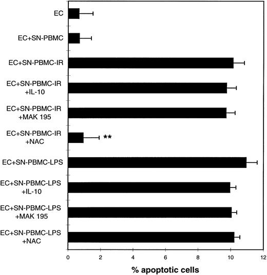 Fig. 3. Cell-free supernatants of preactivated PBMCs cause programmed cell death in ECs. NAC inhibits the IR-induced effects. HUVECs were coincubated with supernatants of either untreated PBMCs (SN-PBMC) or irradiated (SN-PBMC-IR) or LPS-treated PBMCs (SN-PBMC-LPS), respectively, in the presence or absence of IL-10, MAK 195, or NAC (3 mmol/L). Quantitative microscopic analysis of DAPI-stained cells. **P < .001 of apoptosis of SN-PBMC-IR in the presence of NAC versus SN-PBMC-IR alone. These results are representative of four independent experiments. For experimental details, see the legend to Fig 1.