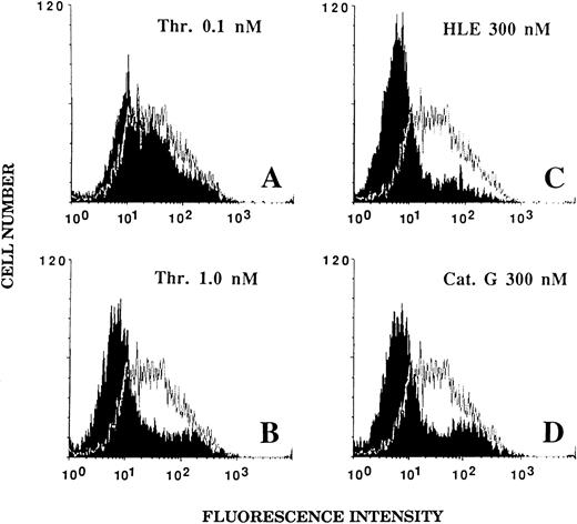 Fig. 5. Effect of thrombin, HLE, and Cat G on the expression of the thrombin receptor at the surface of ECs. IVECs in suspension were incubated for 5 minutes with thrombin (A and B), HLE (C), or Cat G (D) at the indicated concentrations and were then reacted with the murine antithrombin receptor MoAb IIaR-A, followed by FITC-conjugated antimouse IgG, as detailed in Materials and Methods. For each experimental condition, the observed tracing (in black) is shown for comparison with a typical tracing (superimposed) representative of the control condition (ie, without pretreatment with any of the proteinases). The MFI value for the control irrelevant monoclonal IgG was 10.7 ± 1.1 (n = 3). Tracings are representative of four distinct experiments.