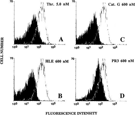 Fig. 7. Effects of thrombin, HLE, Cat G, and PR3 on the expression of the thrombin receptor at the surface of platelets. Unstirred platelets were incubated for 5 minutes with thrombin (A) or the neutrophil proteinases (B to D) as described in the legend to Fig 6. Binding of the IIaR-A antibody was measured by flow cytometry as detailed in the legend to Fig 5. For each experimental condition, the observed tracing (in black) is shown for comparison with a typical tracing (superimposed) representative of the control condition (ie, without pretreatment with any of the proteinases). The MFI value for the control irrelevant monoclonal IgG was 15.2 ± 2.1 (n = 10). Tracings are representative of at least three distinct experiments.