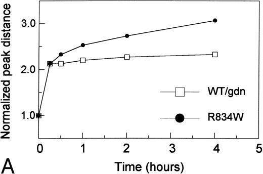 Fig. 4. The effects of guanidine HCl on proteolytic susceptibility of the recombinant vWF. (A) Difference in size reduction kinetics, represented by increased normalized peak distance on densitometric tracings of an SDS 1.5% agarose gel, of purified recombinant WT vWF in 1.25 mol/L guanidine HCl (WT/gdn, □) or R834W vWF mutant in TBS (R834W, •) incubated with 1 U/mL proteinase. The reaction was stopped at designated intervals by 10 mmol/L EDTA and SDS agarose gel electrophoresis was performed. (B) Guanidine HCl-dependent size reduction, represented by increased normalized peak distance on densitometric tracings of SDS 1.5% agarose gels. Purified recombinant WT vWF (▪) and R834W vWF mutant (□) were treated with designated concentrations of guanidine HCl before incubation with the plasma proteinase at 1/10 dilution. The reaction was stopped at 30 minutes by 10 mmol/L EDTA. *P < .05, **P < .2.