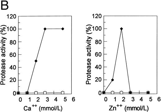 Fig. 6. The role of metallic cations in the inhibitory activity of doxycycline. (A) Zn2+ or Cu2+ decreased doxycycline inhibitory activity. Doxycycline (5 mmol/L) was treated with ZnCl2 (•), CuSO4 (□), or CaCl2 (▪) at designated molar concentration ratios before it was added at 1/10 (vol/vol) dilution to the proteinase. Proteinase Inhibition (%) = (Original Activity − Residual Activity)/(Original Activity − Residual Activity After Incubation With Doxycycline Not Treated With Cations) × 100. (B) Restoration of proteinase activity by metallic cations. The plasma proteinase was treated with 1 mmol/L EDTA (♦) or 1 mmol/L doxycycline (□). CaCl2 or ZnCl2 was then added at the designated concentrations. The proteinase activity was plotted against the cation concentrations.