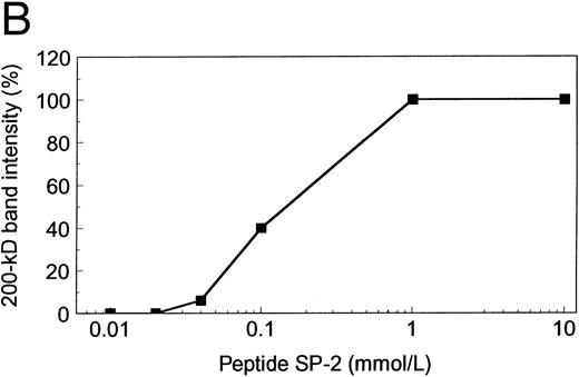 Fig. 8. Synthetic peptide SP-2 (described in the Materials and Methods) reversed the inhibitory activity of antibody VP-1. (A) An autoradiograph of a 1.5% SDS agarose gel showing the size distribution of the R834W vWF mutant incubated with TBS (lane 1), the plasma proteinase (lane 2), the plasma proteinase in the presence of VP-1 (lane 3), and the plasma proteinase in the presence of VP-1 and 1 mmol/L SP-2. (B) Concentration dependence of SP-2 reversal of VP-1 inhibitory activity. VP-1 (90 μmol/L mouse IgG) treated with designated concentrations of SP-2 was added to the vWF mutant before the plasma proteinase. The intensity of the 200-kD band generated from the vWF was plotted against the SP-2 concentration on a log scale.