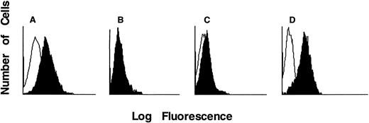 Fig. 2. IF staining histograms of EBV B-cell lines incubated with TUGh4 antibody (solid tracings) or no first antibody (open tracings), followed by PE-conjugated antirat IgG. B-cell lines were derived from (A) unaffected control and γc-SCID patients with (B) Q188• terminating in exon 4 with no detectable mRNA, (C) R226H hot spot extracellular point mutation in exon 5, and (D) R289• hot spot intracellular truncation mutation in exon 7.
