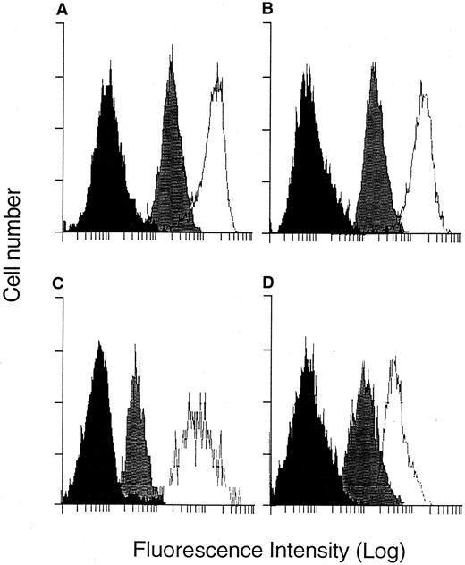 Fig. 1. FACS analysis of Class I and adhesion molecule surface expression. HDLM-2 cells were suspended in FACS media and stained with MoAbs specific for surface molecules. After addition of a second-step antibody conjugated to fluorescein, cells were analyzed by flow cytometry. (A) Negative control (▪), anti–Class I (w6/32) (), anti-CD30 (□). (B) Negative control (▪), anti-A1 (), anti-B8 (□). (C) Negative control (▪), anti-LFA2 (), anti-ICAM1 (□). (D) Negative control (▪), anti-CD80 (), anti-CD86 (□).