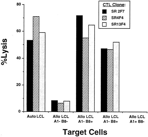 Fig. 3. Determination of HLA class I restriction of LMP-specific T-cell clones. LMP-specific clones were isolated by stimulating in vitro PBMC obtained from an HLA-A1,B8 homozygous individual with autologous monocytes infected with vac/LMP1 recombinants and cloning by limiting dilution. Clones were characterized for Class I restriction using a standard CRA. Autologous LCL and allogeneic LCL mismatched and matched at either the A1 or B8 alleles were prepared as previously described. Effector cells were added at an E:T of 10:1. Three representative CTL clones restricted to the B8 allele are shown: SR2F7 (▪), SR4F4 (▨), and SR13F4 ().